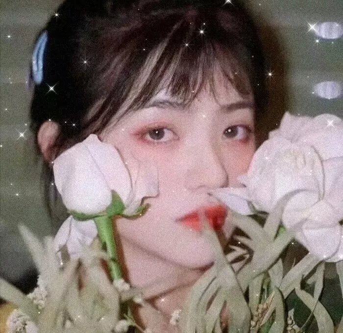 野蛮师姐